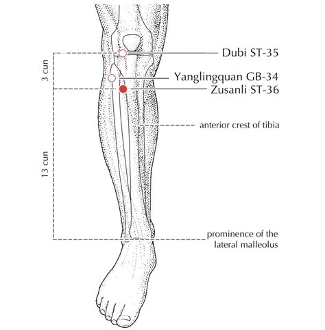 Acupressure For Stress Relief — Montoya Medicine: Acupuncture and Herbal Medicine