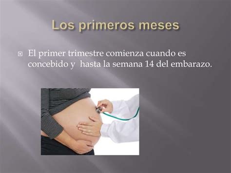 Los Cuidados Prenatales PPT