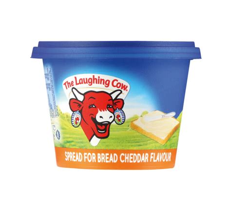 The Laughing Cow Cheese Spread Cheddar (1 x 250g) | Makro