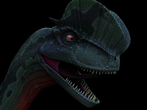 Maya Dilophosaurus Frill