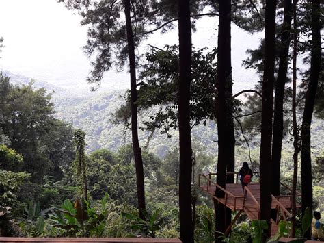 Adventure Indi Bukit Kembar Puncak Pinus Karawang