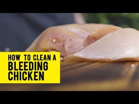 How To Clean A Bleeding Chicken Totkay Masalatv Youtube