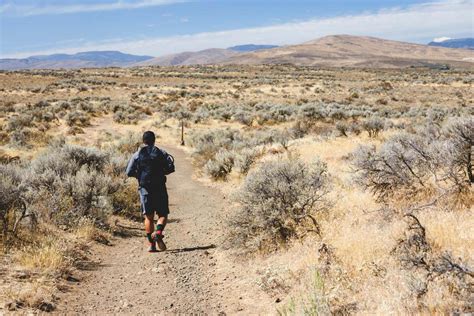 Cowiche Canyon Trails: Best Trail System in Yakima!