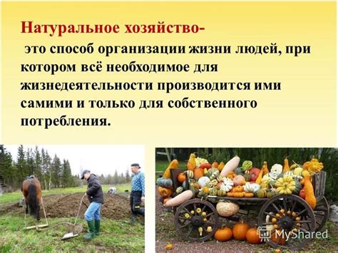 Презентация на тему: "Экономика и её основные участники. План урока 1 ...
