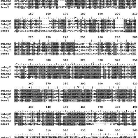 Pairwise Amino Acid Sequence Comparisons Between Laps Of The M28a