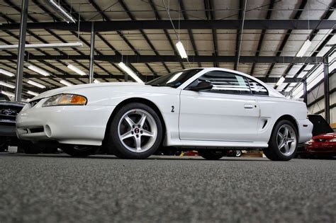 A Collector’s Cobra This 1995 Mustang Cobra R Resides In The Vast Collection Of Npd