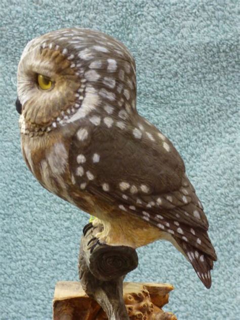 Saw Whet Owl Realistic Carving Etsy