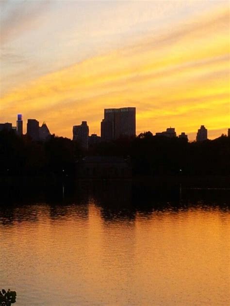 Central park sunset | Sunset, Central park, Outdoor