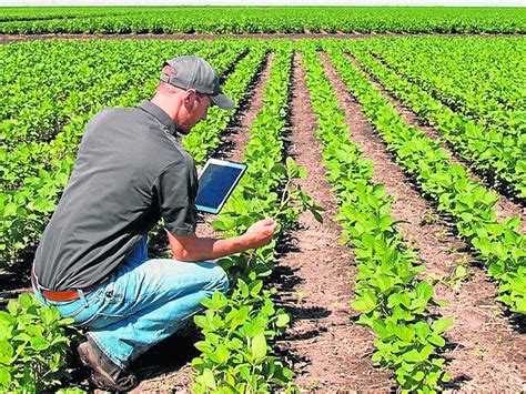 INGENIERIA AGRICOLA QUÉ ES YN SU CAMPO LABORAL