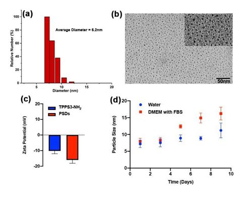 Characterization Of Psds A Size Distribution Profiles Of Psds