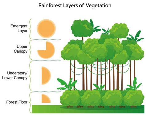 Climate And Ecosystems The Geographer Online