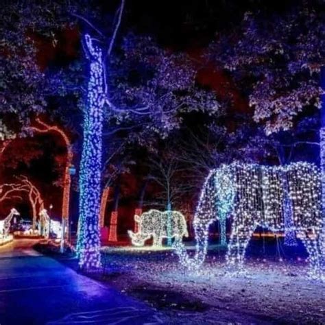 Detroit Zoo Wild Lights: BEST Guide to Wild Lights Detroit Zoo - My Michigan Beach and Travel