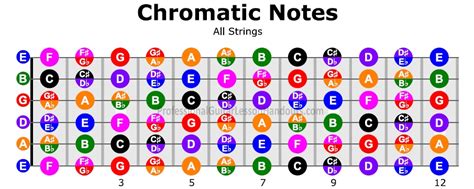 Memorizing The Fretboard Professional Guitar Lesson Handouts