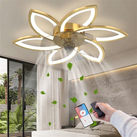 Ceiling Fans W Remote