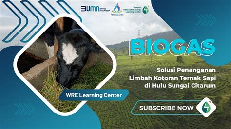 BIOGAS SOLUSI PENANGANAN LIMBAH KOTORAN TERNAK SAPI DI HULU SUNGAI