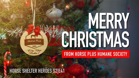 Horse Shelter Heroes | S2E41 | Merry Christmas! - YouTube