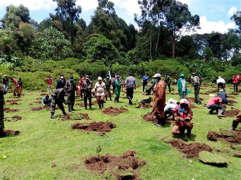 Mount Kenya Aberdare And Nandi Forests Trillion Trees