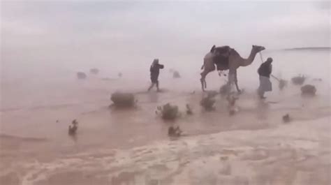 Video Por Las Fuertes Lluvias El Desierto Saudita Parece Un Lago