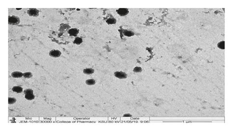 Sem Micrographs Of A Pure Nar B Hpmc Stabilized Nanosuspension