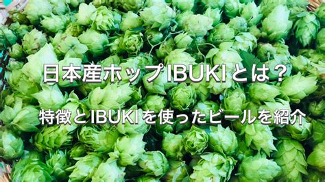 日本産ホップibukiとは？特徴とibukiを使ったビールを紹介 日本産ホップ推進委員会