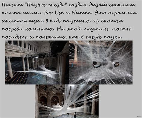 Проект "Паучье гнездо" | Пикабу