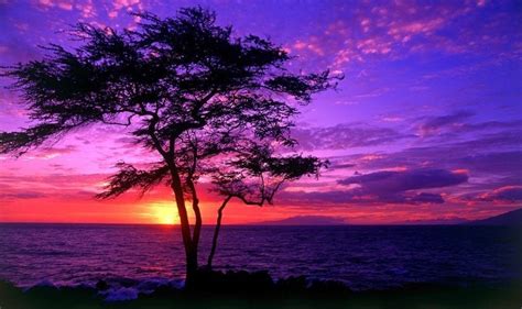 Beautiful Sunset - Beautiful Nature Photo (21887669) - Fanpop