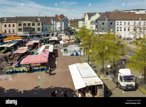 Grosserer ring Fotos und Bildmaterial in hoher Auflösung Alamy