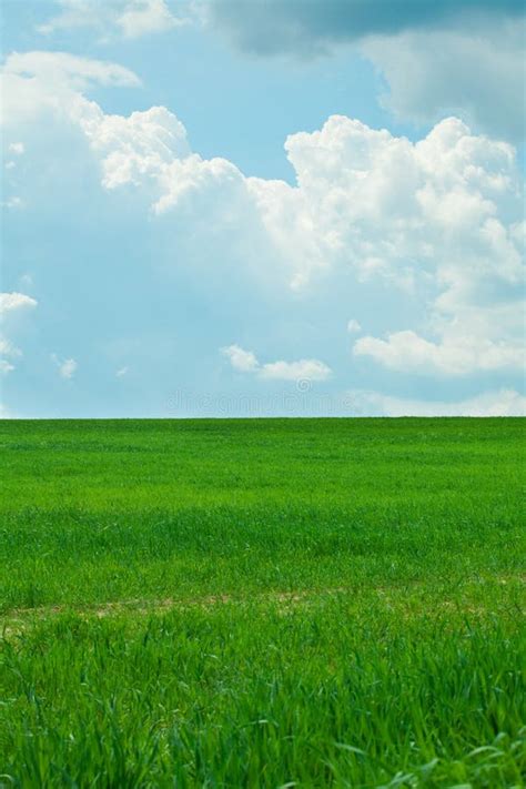 Green Grass And Sky With Clouds Stock Photo Image Of Park Meadow