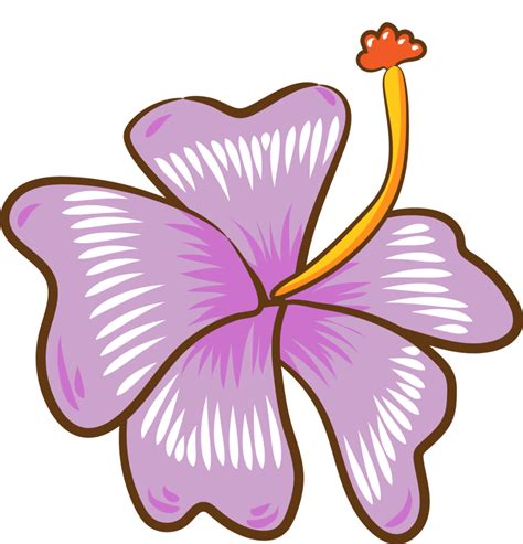 Hibiscus Png Graphic Clipart Design 19152636 Png