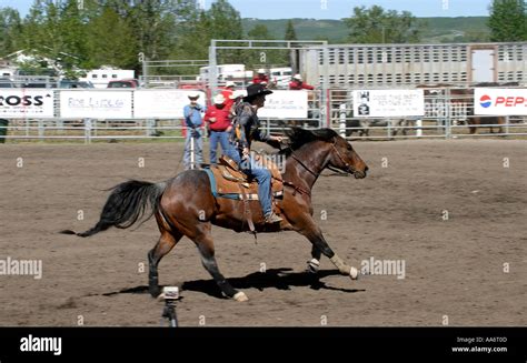 Rodeo Alberta Canada Barrel racing Stock Photo - Alamy