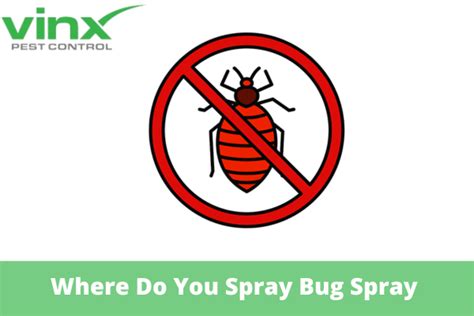 Where Do You Spray Bug Spray in a Room?