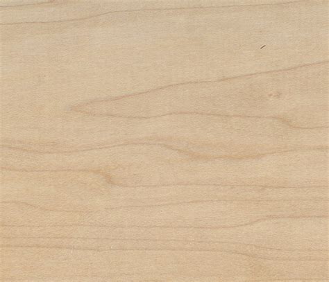 Hard Maple Lumber Overview Availability And Pricing