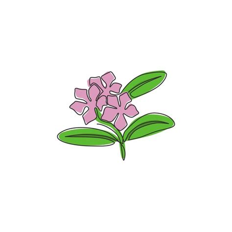 Premium Vector Single Continuous Line Drawing Of Beauty Vinca For