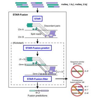 (PDF) STAR-Fusion: Fast and accurate fusion transcript detection from ...