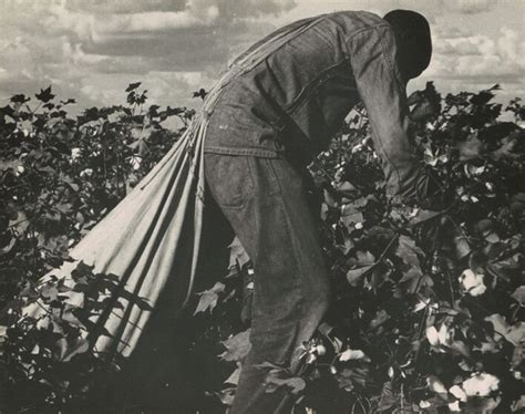 Dorothea Lange Imuseum