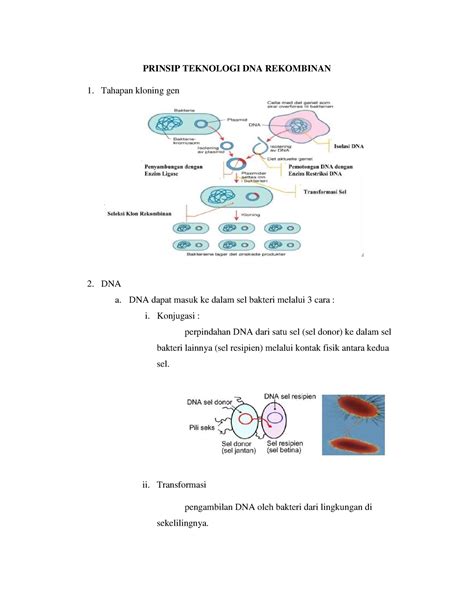 Prinsip Teknologi Dna Rekombinan Prinsip Teknologi Dna Rekombinan