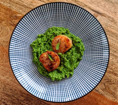 Seared Scallops With Mint And Pea Purée Spicy Gelato Kitchen