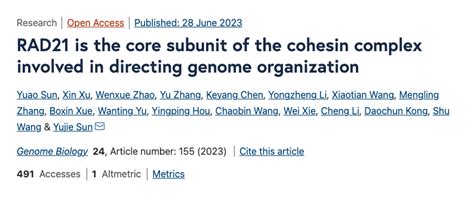 Genome Biology丨孙育杰课题组超分辨成像解析cohesin复合体在三维基因组构建中的分子机制 Biopic网站中文版