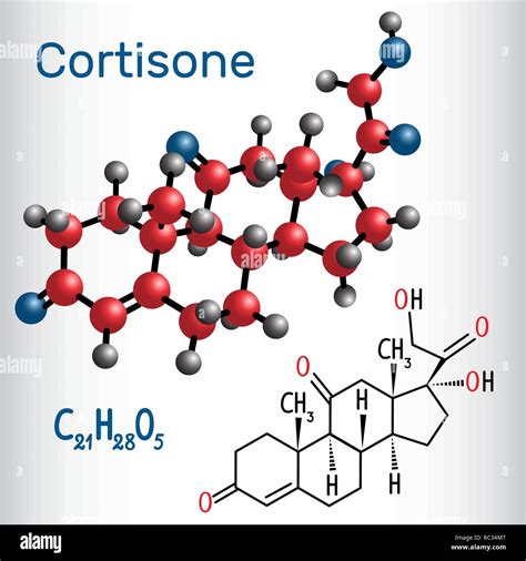 Cortisona Hormona Esteroidea Fórmula Química Estructural Y Modelo