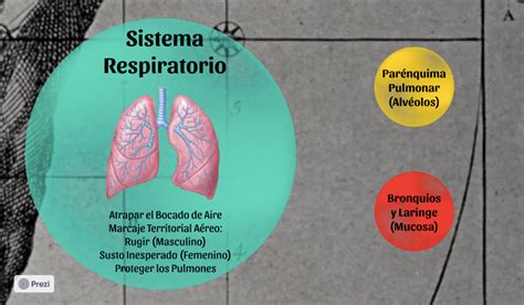 Fundamentos De Las Leyes Biol Gicas Mapa Vital