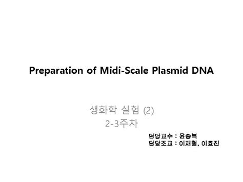 contents Component of plasmid vector bacterial culture Plasmid 