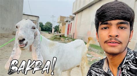 Qurbani Kay Liye Janwar Ly Liye Afaq Rasheed YouTube