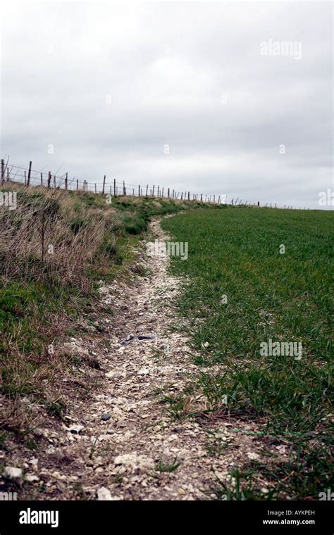 Landscape England Somerset Stock Photo Alamy