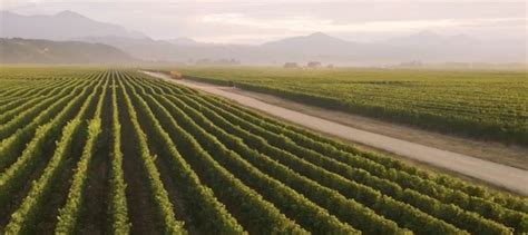 Air New Zealand Launches Thirteen Forty Five Wine Label Inspired By
