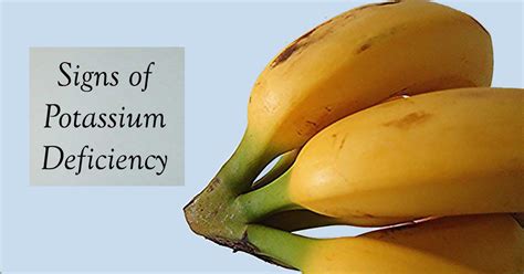 6 Alarming Symptoms Of Low Potassium Levels In The Body Holistic Living Tips