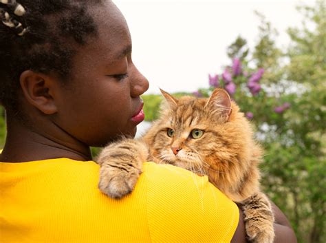 Les Fabuleux Bienfaits De L Adoption D Un Chat