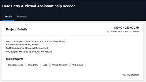 Virtual Assistant Proposal Sample For Freelancer