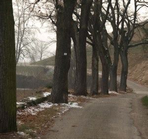 Sterreich Wetterr Ckblick Im Winter Zweitw Rmster Winter