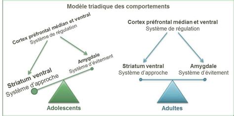 Le modèle triadique des comportements résulte de l engagement de trois