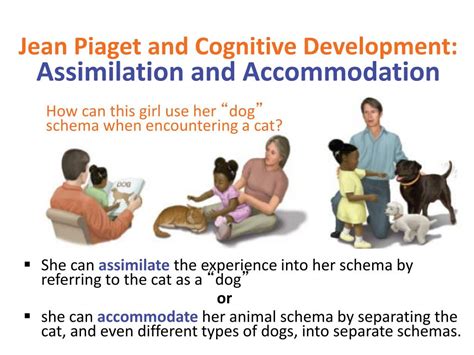 Ppt General Psychology Powerpoint Presentation Free Download Id 6107735